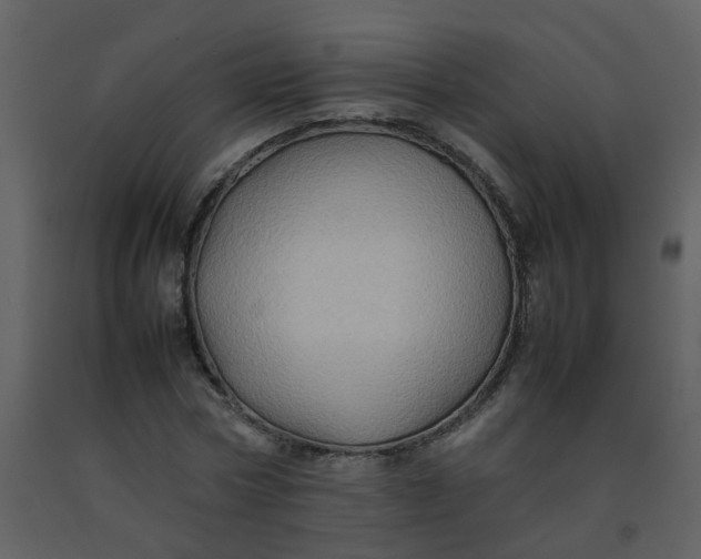 X0000092270778200710051338