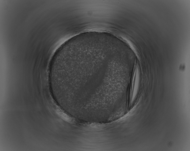 X0000092270779200710051338