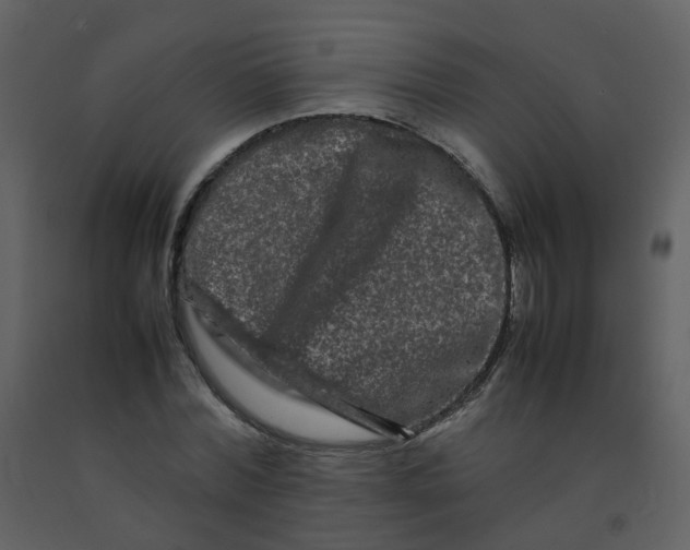 X0000092270780200710051338