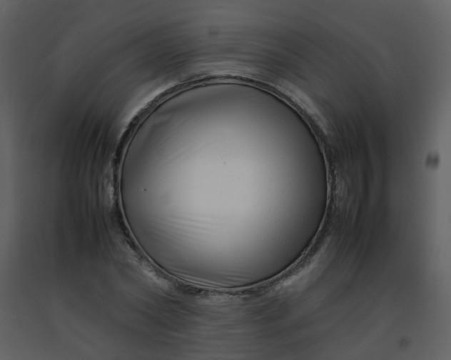 X0000092270782200710051338