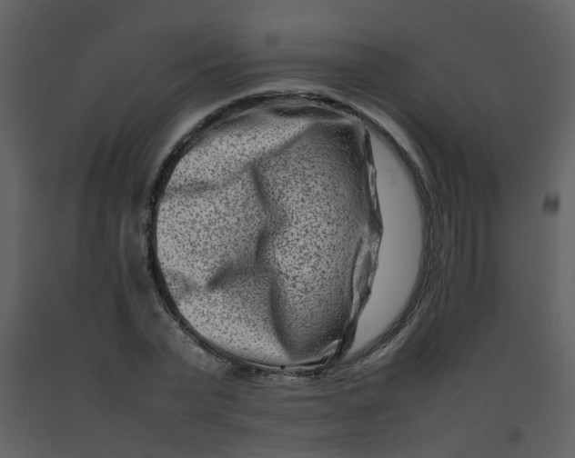 X0000092270783200710051338