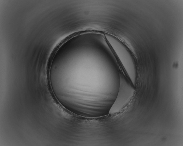 X0000092270784200710051338