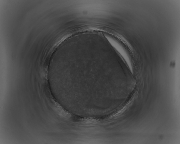 X0000092270785200710051338