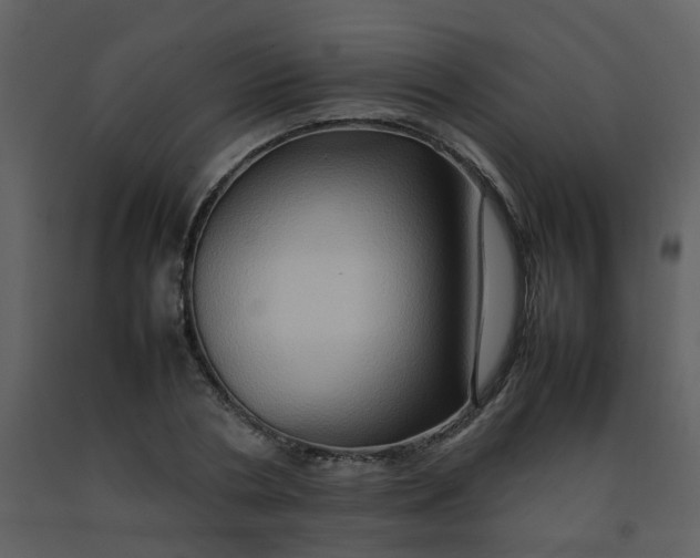 X0000092270786200710051338