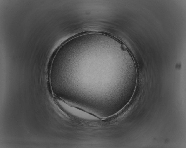 X0000092270787200710051338