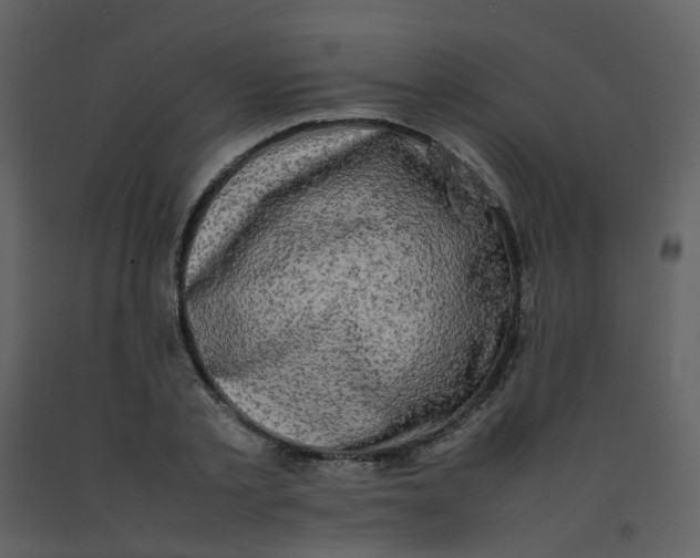 X0000092270789200710051338