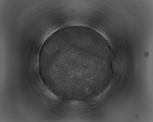 X0000092270790200710051338