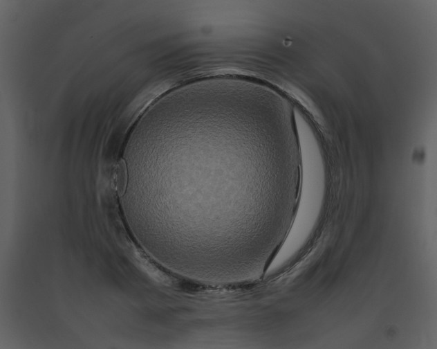 X0000092270793200710051338