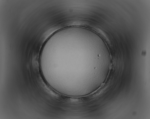 X0000092270794200710051338