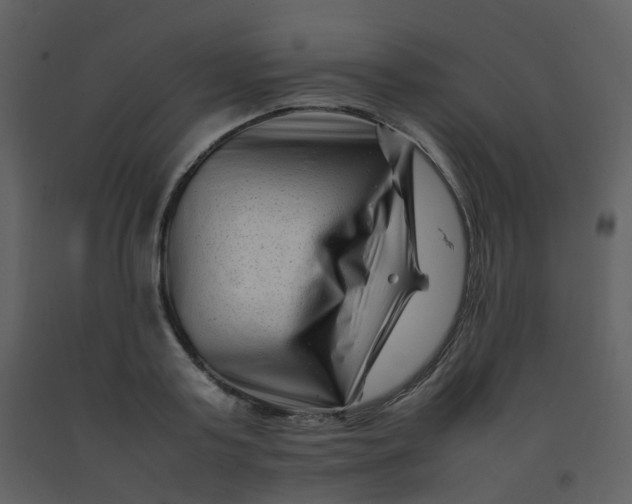 X0000092270795200710051338