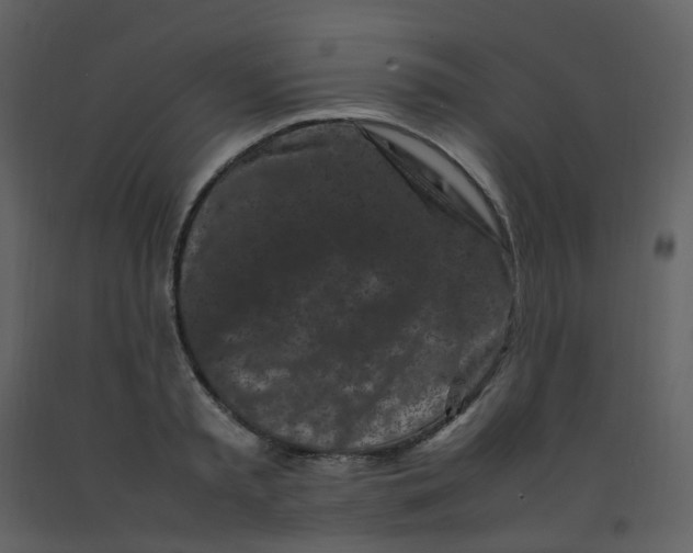 X0000092270797200710051338