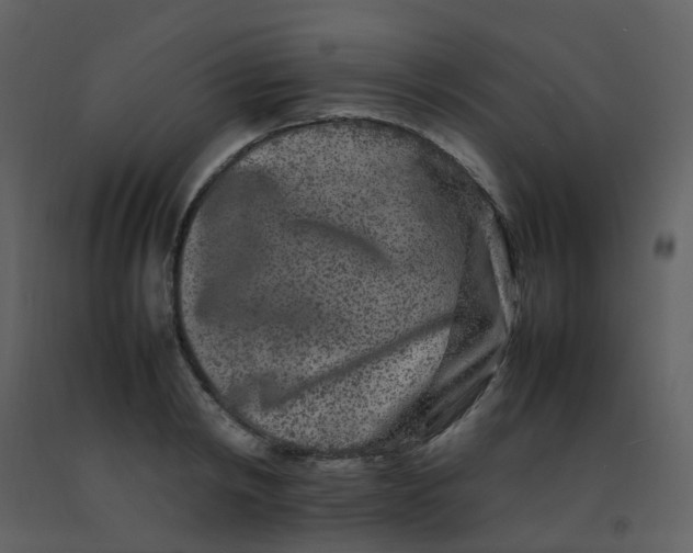 X0000092270798200710051338