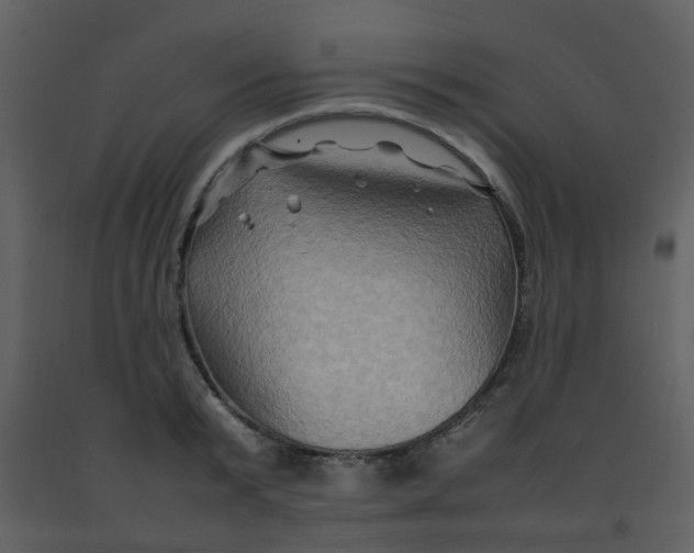 X0000092270799200710051338