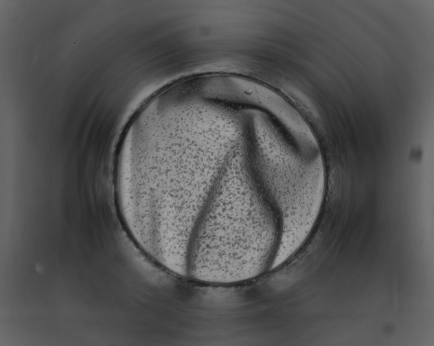 X0000092270800200710051338