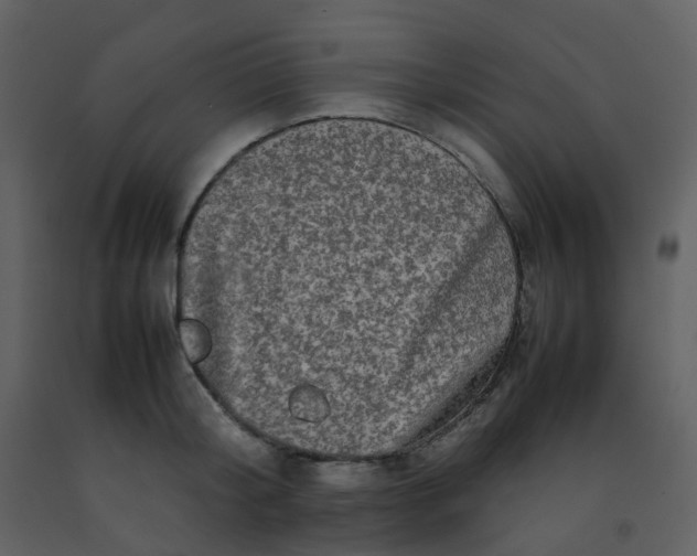 X0000092270804200710051338