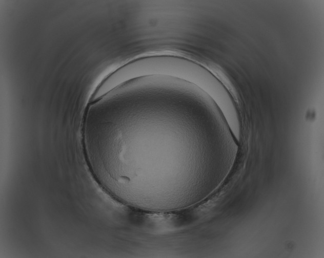 X0000092270805200710051338