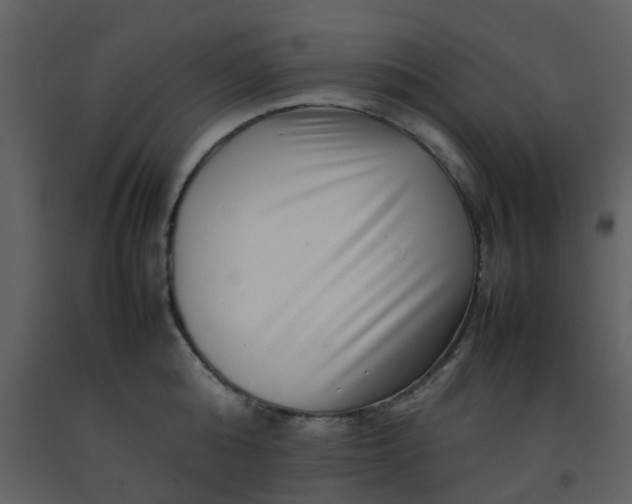 X0000092270808200710051338