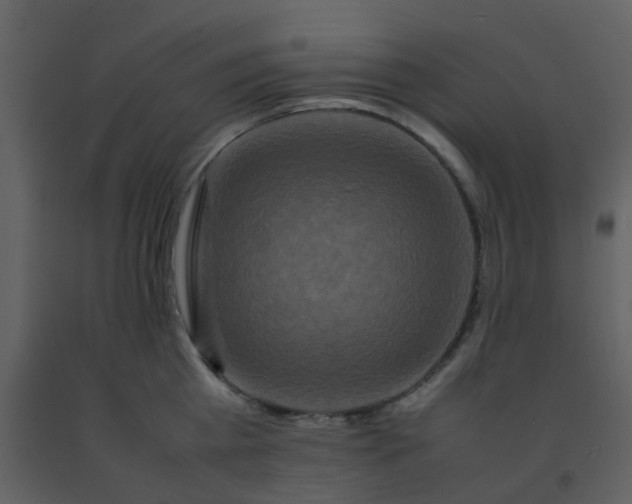 X0000092270809200710051338