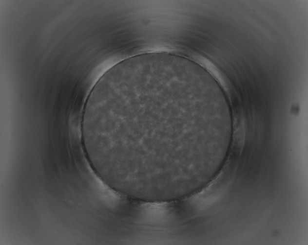 X0000092270810200710051338