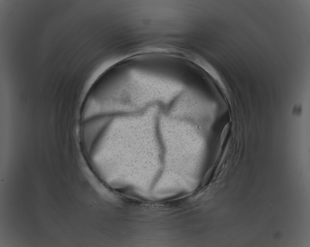 X0000092270811200710051338