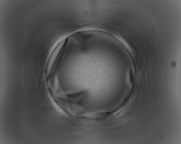 X0000092270813200710051338