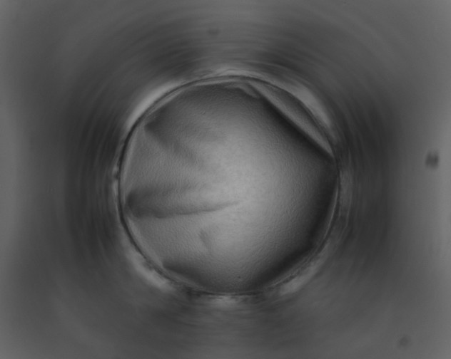 X0000092270814200710051338