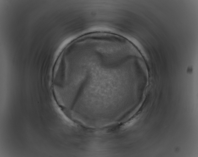 X0000092270815200710051338