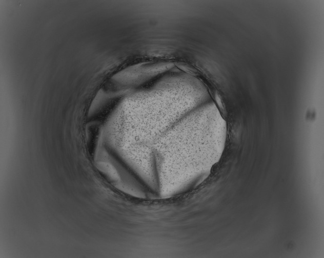 X0000092270817200710051337