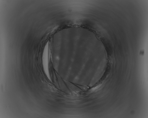 X0000092270818200710051337