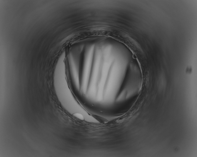 X0000092270821200710051337