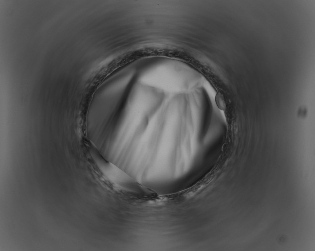 X0000092270822200710051337