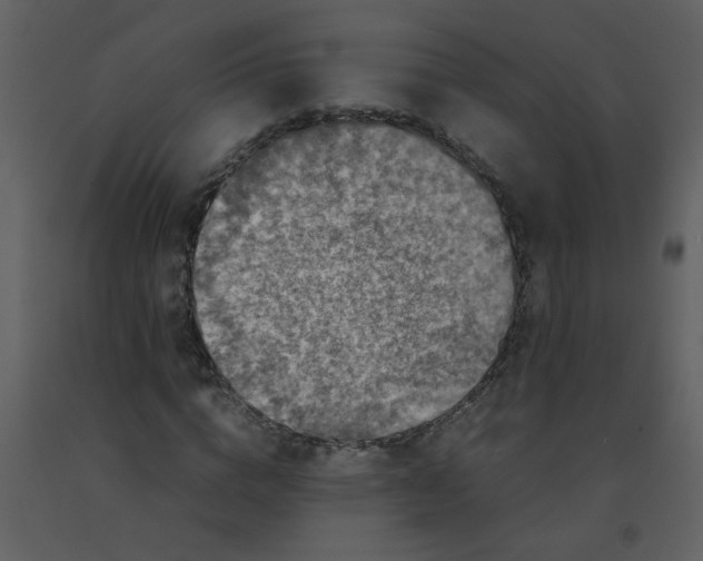 X0000092270824200710051337