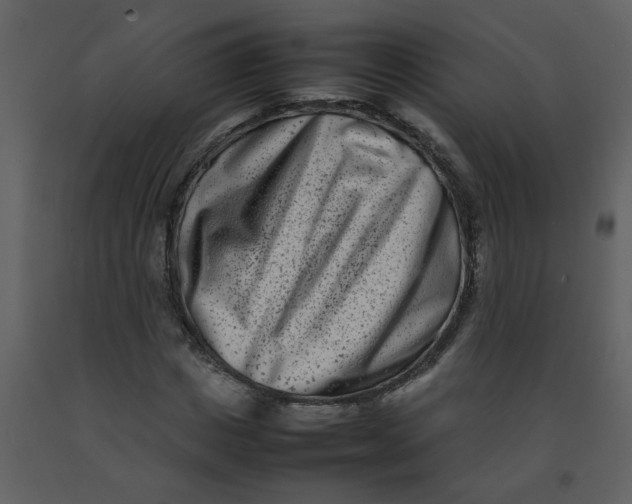 X0000092270825200710051337