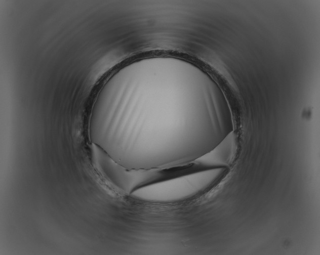 X0000092270826200710051337