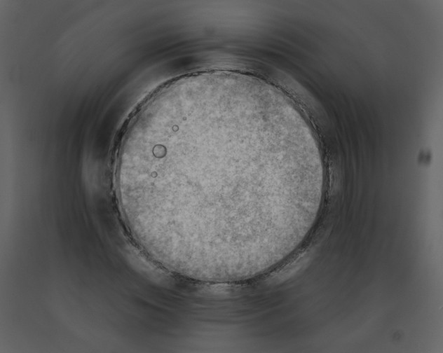 X0000092270828200710051337