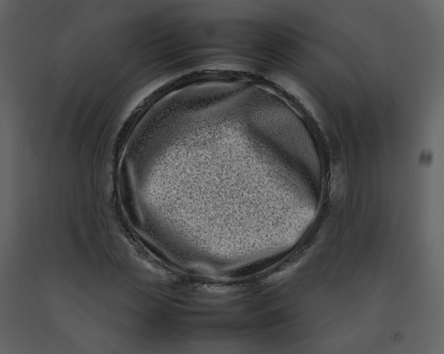 X0000092270829200710051337