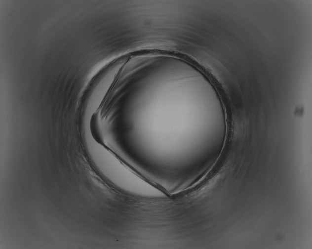 X0000092270830200710051337