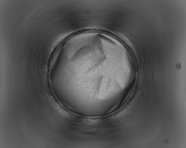 X0000092270831200710051337