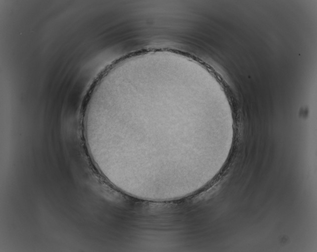 X0000092270832200710051337