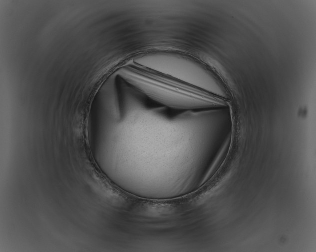 X0000092270833200710051337