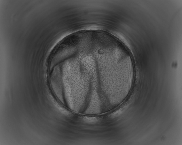 X0000092270835200710051337