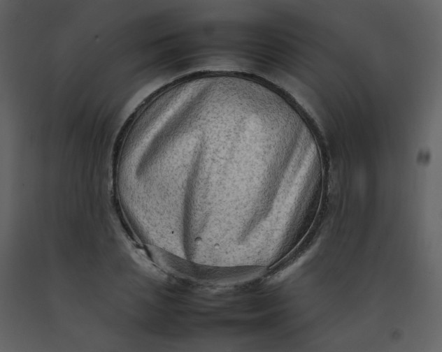 X0000092270837200710051337