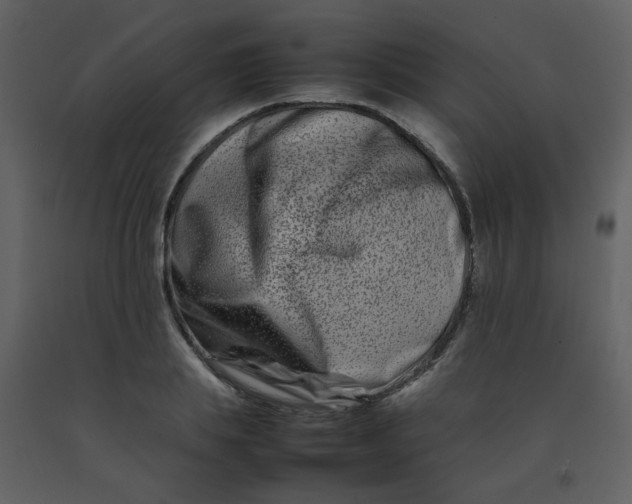 X0000092270839200710051337