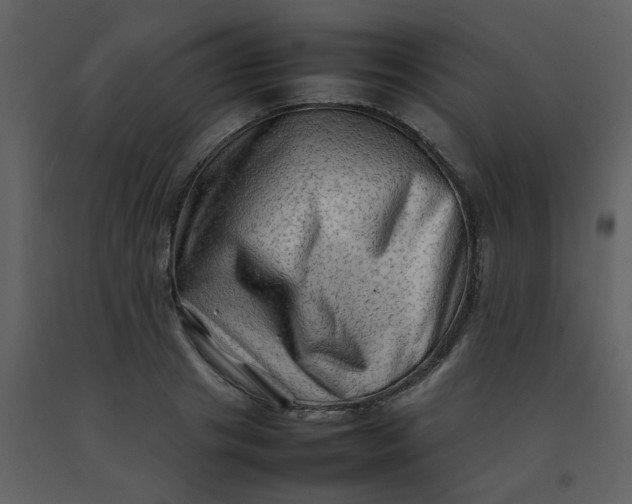 X0000092270841200710051337