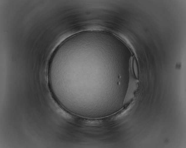 X0000092270843200710051337