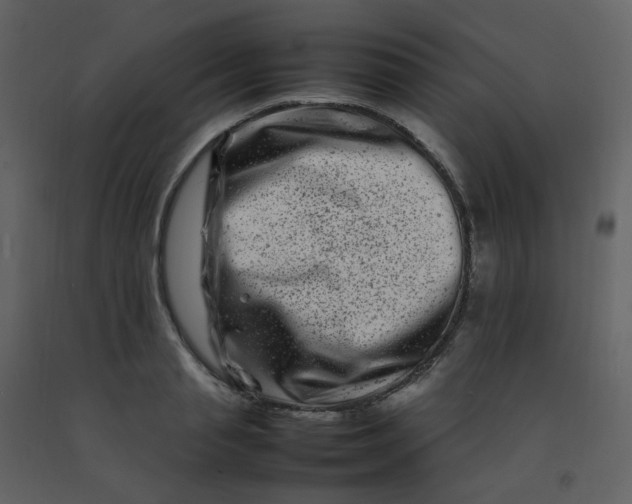 X0000092270845200710051337