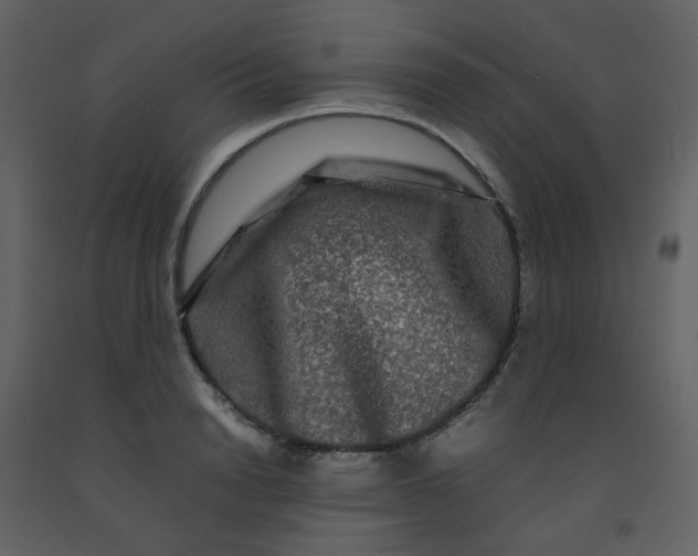 X0000092270846200710051337