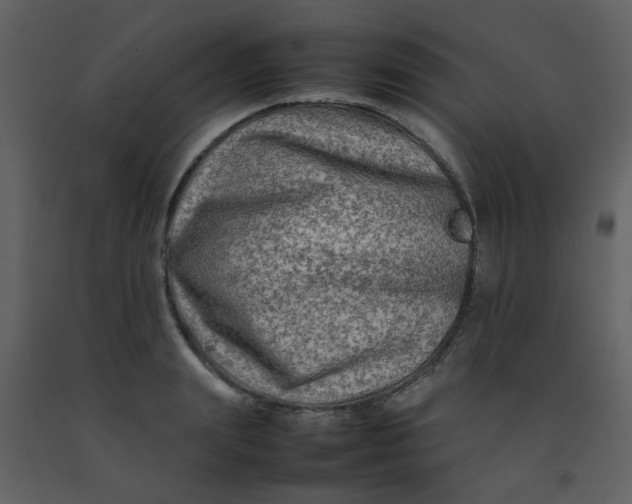 X0000092270847200710051337