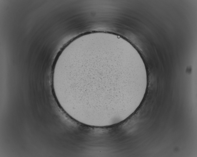 X0000092270848200710051337