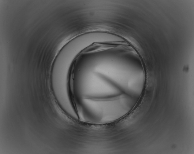 X0000092270850200710051338